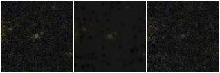 Missing file AGC198354-custom-montage-FUVNUV.png