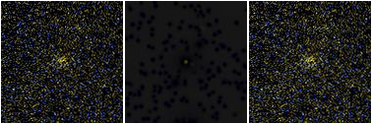 Missing file PGC026326-custom-montage-FUVNUV.png