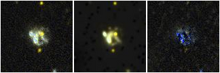 Missing file AGC193816-custom-montage-FUVNUV.png