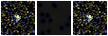 Missing file SDSSJ092000.56+395333.2-custom-montage-FUVNUV.png
