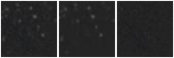 Missing file AGC198541-custom-montage-W1W2.png