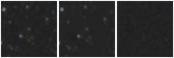 Missing file VFID0203-custom-montage-W1W2.png
