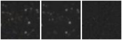 Missing file AGC198454-custom-montage-W1W2.png