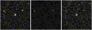 Missing file NGC2903_IHS2009_HI1-custom-montage-FUVNUV.png