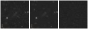 Missing file AGC198425-custom-montage-W1W2.png