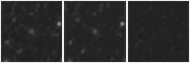 Missing file PGC028086-custom-montage-W1W2.png