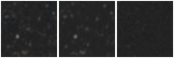 Missing file PGC2184302-custom-montage-W1W2.png