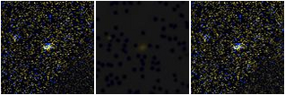 Missing file SDSSJ094758.45+390510.1-custom-montage-FUVNUV.png