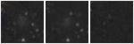 Missing file UGC05209-custom-montage-W1W2.png
