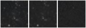 Missing file PGC135728-custom-montage-W1W2.png