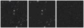 Missing file PGC1916762-custom-montage-W1W2.png
