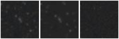 Missing file PGC2042146-custom-montage-W1W2.png