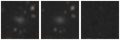 Missing file SDSSJ095042.36+084353.6-custom-montage-W1W2.png