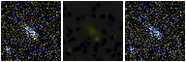 Missing file SDSSJ095043.15+095703.8-custom-montage-FUVNUV.png