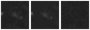 Missing file PGC1200167-custom-montage-W1W2.png