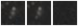 Missing file SDSSJ095407.30+092135.5-custom-montage-W1W2.png