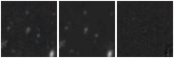 Missing file VFID6320-custom-montage-W1W2.png