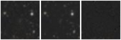 Missing file AGC198712-custom-montage-W1W2.png