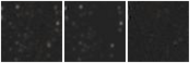 Missing file SDSSJ095844.92+324312.9-custom-montage-W1W2.png