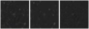 Missing file AGC205104-custom-montage-W1W2.png