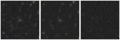 Missing file AGC205105-custom-montage-W1W2.png