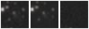 Missing file PGC1201224-custom-montage-W1W2.png