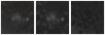 Missing file PGC2806869-custom-montage-W1W2.png