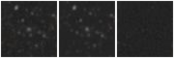 Missing file PGC139255-custom-montage-W1W2.png