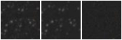 Missing file SDSSJ101020.51+074513.6-custom-montage-W1W2.png