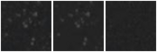 Missing file SDSSJ101419.34+571348.6-custom-montage-W1W2.png