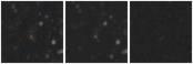 Missing file AGC208772-custom-montage-W1W2.png