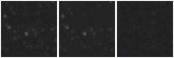 Missing file CKT2009_D1019+69-custom-montage-W1W2.png