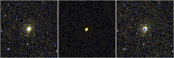 Missing file NGC3182-custom-montage-FUVNUV.png