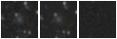 Missing file PGC086788-custom-montage-W1W2.png
