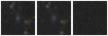 Missing file SDSSJ101840.87+212249.7-custom-montage-W1W2.png