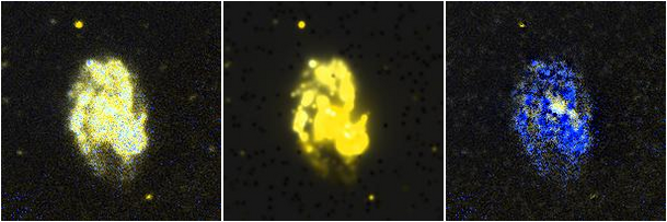 Missing file NGC3206-custom-montage-FUVNUV.png
