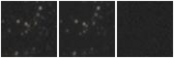 Missing file AGC205148-custom-montage-W1W2.png