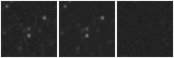 Missing file AGC205156-custom-montage-W1W2.png