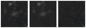 Missing file PGC2213744-custom-montage-W1W2.png