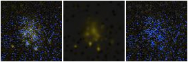 Missing file SDSSJ102827.71+630844.8-custom-montage-FUVNUV.png