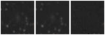 Missing file SDSSJ102827.71+630844.8-custom-montage-W1W2.png
