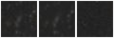 Missing file SDSSJ103156.68+220549.4-custom-montage-W1W2.png