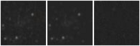 Missing file UGC05706-custom-montage-W1W2.png