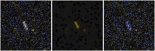 Missing file AGC208592-custom-montage-FUVNUV.png