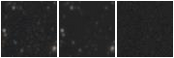 Missing file AGC208592-custom-montage-W1W2.png
