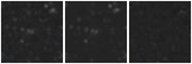Missing file PGC2277751-custom-montage-W1W2.png