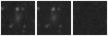 Missing file PGC083286-custom-montage-W1W2.png