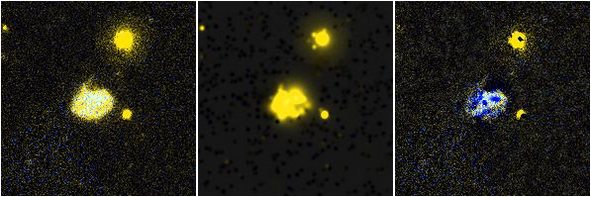 Missing file UGC05832-custom-montage-FUVNUV.png