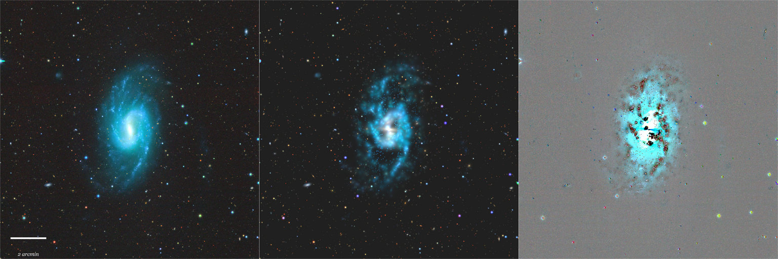 Missing file NGC3359-custom-montage-grz.png