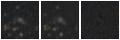 Missing file PGC032107-custom-montage-W1W2.png